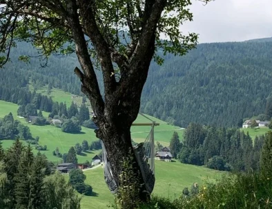 Der alte Baum mit dem Hängesessel gehört zu den Lieblingsplätzen am Chalet "Sound of Nature".